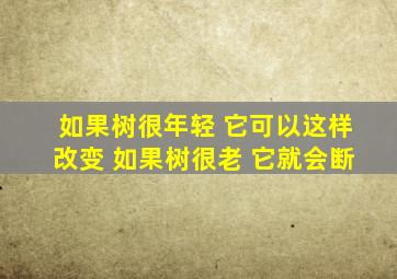 如果树很年轻 它可以这样改变 如果树很老 它就会断